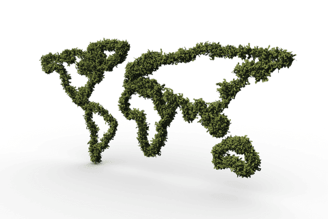 leaf world map illustration on transparent background - Download Free Stock Videos Pikwizard.com