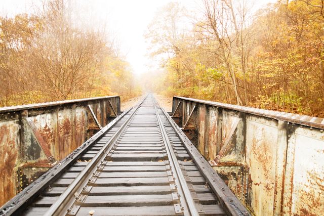 Rustic railway bridge stretching through misty autumn forest. Rusty metal structures mix with vibrant fall foliage to create a picturesque scene. Ideal for concepts involving travel, nostalgia, or nature's beauty.