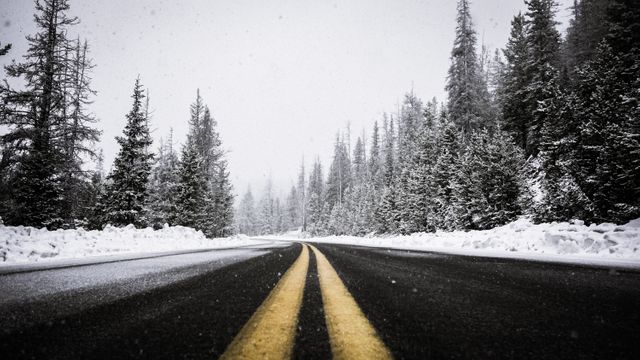 An empty road stretches through a heavily snow-covered forest with tall trees on either side. Suitable for depicting winter travel, cold weather conditions, and serene nature scenes. Great for use in travel blogs, adventure-themed content, and seasonal promotions.