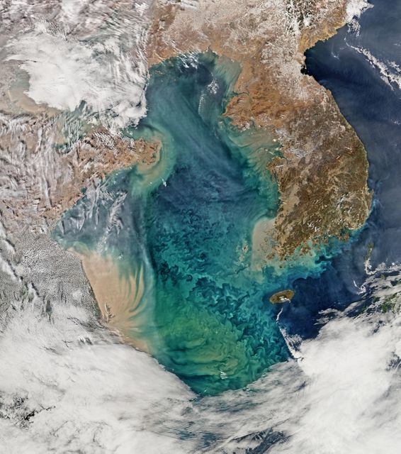 Remote sensing of ocean color in the Yellow Sea can be a challenge. Phytoplankton, suspended sediments, and dissolved organic matter color the water while various types of aerosols modify those colors before they are &quot;seen&quot; by orbiting radiometers.  The Aqua-MODIS data used to create the above image were collected on February 24, 2015.  NASA's OceanColor Web is supported by the Ocean Biology Processing Group (OBPG) at NASA's Goddard Space Flight Center. Our responsibilities include the collection, processing, calibration, validation, archive and distribution of ocean-related products from a large number of operational, satellite-based remote-sensing missions providing ocean color, sea surface temperature and sea surface salinity data to the international research community since 1996.  Credit: NASA/Goddard/Ocean Color  <b><a href="http://www.nasa.gov/audience/formedia/features/MP_Photo_Guidelines.html" rel="nofollow">NASA image use policy.</a></b>  <b><a href="http://www.nasa.gov/centers/goddard/home/index.html" rel="nofollow">NASA Goddard Space Flight Center</a></b> enables NASA’s mission through four scientific endeavors: Earth Science, Heliophysics, Solar System Exploration, and Astrophysics. Goddard plays a leading role in NASA’s accomplishments by contributing compelling scientific knowledge to advance the Agency’s mission. <b>Follow us on <a href="http://twitter.com/NASAGoddardPix" rel="nofollow">Twitter</a></b> <b>Like us on <a href="http://www.facebook.com/pages/Greenbelt-MD/NASA-Goddard/395013845897?ref=tsd" rel="nofollow">Facebook</a></b> <b>Find us on <a href="http://instagram.com/nasagoddard?vm=grid" rel="nofollow">Instagram</a></b>