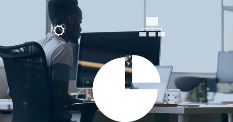 Professional Programmer Engaging in Software Development