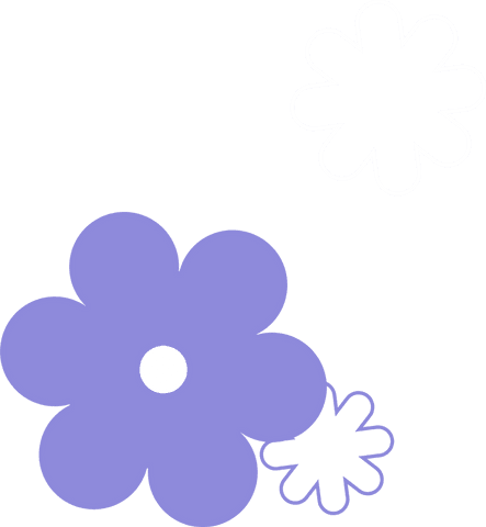 minimalistic daisies on transparent background with pastel accents - Download Free Stock Videos Pikwizard.com