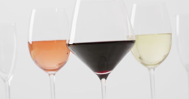 Variety of Wines in Glasses on White Background - Download Free Stock Images Pikwizard.com