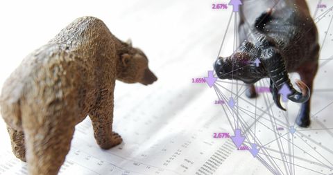 Bull and Bear Market Trends with Global Data Connections