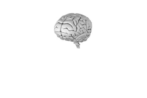 transparent grey human brain on background illustration - Download Free Stock Videos Pikwizard.com