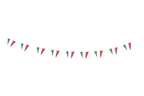 italian themed party bunting garland flags on transparent background - Download Free Stock Videos Pikwizard.com