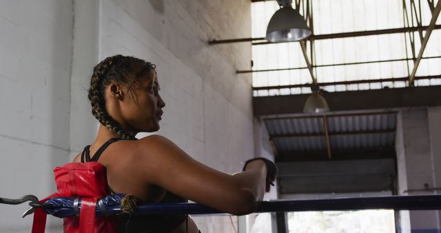 Female boxer with braided hair relaxing on ring rope in gym after training, highlighting strength and focus. Ideal for use in sports, fitness, lifestyle, and motivational content to promote determination and athleticism.