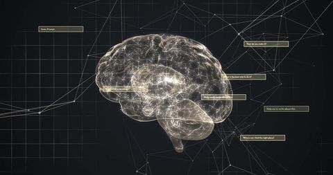 Digital Brain with Data Connectivity Elements - Download Free Stock Images Pikwizard.com