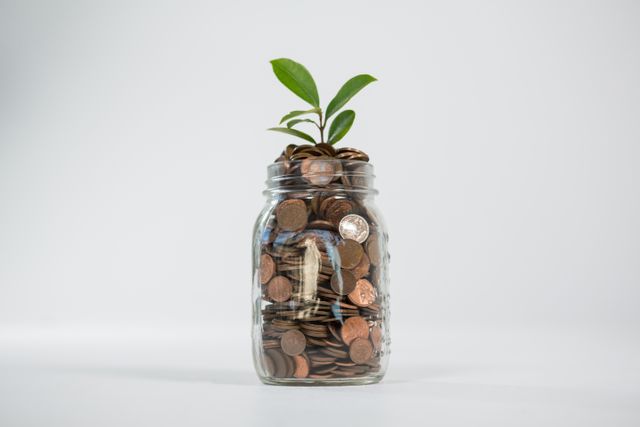 Plant growing in savings coins - Download Free Stock Photos Pikwizard.com