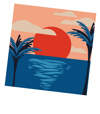 transparent tropical sunset with retro polaroid style - Download Free Stock Videos Pikwizard.com