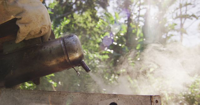 Close-up shows gloved hand using smoke dispenser with steam emanating in bright, natural forest setting. Ideal for depicting work in rural or agriculture settings, environmental conservation, or forest-related activities.