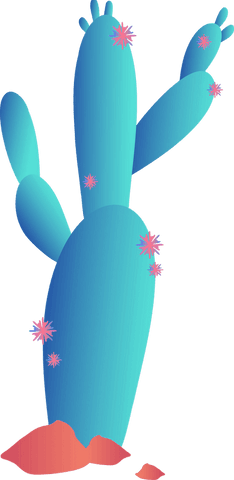 vibrant gradient cactus with pink flowers on transparent background - Download Free Stock Videos Pikwizard.com
