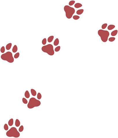 red paw print icons on transparent background for wildlife design - Download Free Stock Videos Pikwizard.com