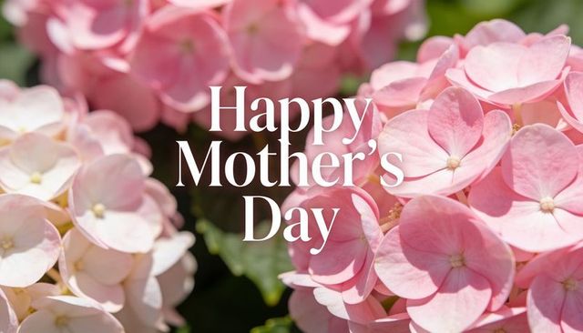 Sunlit pink hydrangea close-up celebrating mother's day with text overlay, soft pastel floral macro