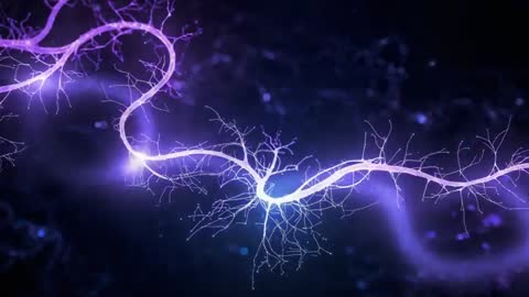 Dynamic Purple Neural Network Sending Energy Pulses