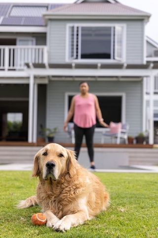 Woman watching golden retriever resting on lawn with orange ball in suburban backyard
