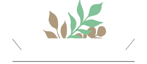 Botanical foliage ribbon banner with transparent background