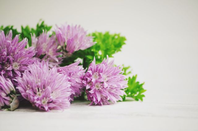 Lilac chive blossoms combined with green herbs create a fresh and vibrant scene suitable for culinary blogs, healthy eating articles, or nature-related publications. The light background highlights the delicate flowers, making it ideal for promoting natural and organic products.