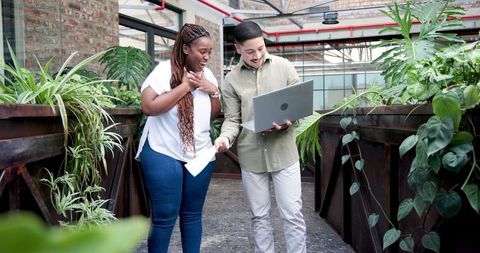 Colleagues Collaborating with Laptop in Plant-Filled Modern Office