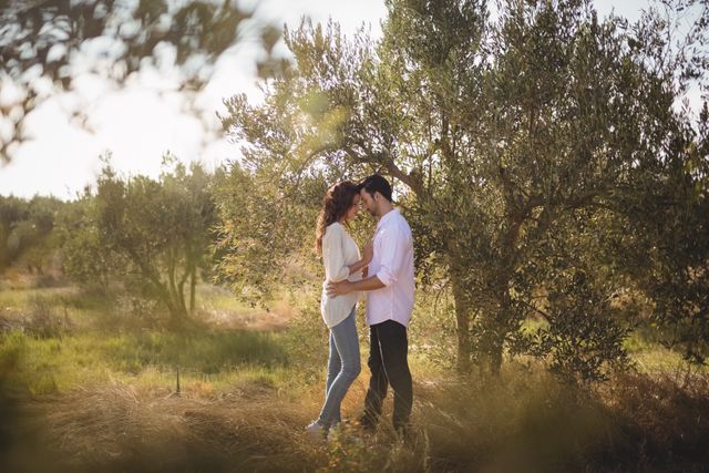 Romantic Couple Embracing in Olive Grove - Download Free Stock Photos Pikwizard.com