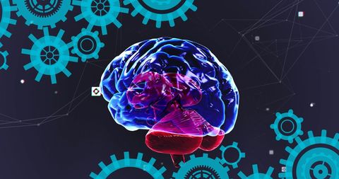 Digitally Generated Brain Rotating with Geometric Cogs - Download Free Stock Images Pikwizard.com