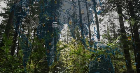 Geospatial connectivity in lush forest environment