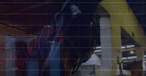 Digital interface overlaid on stable horses