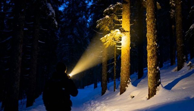 Solo hiker exploring snowy pine forest at dusk with flashlight beam lighting trunks