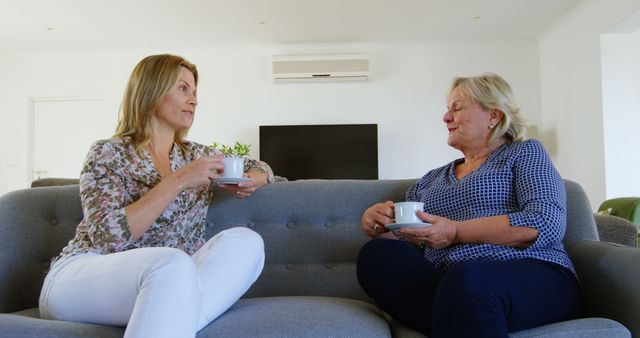 Relaxed Conversation Between Middle-Aged and Senior Women Sitting on Sofa with Coffee - Download Free Stock Images Pikwizard.com