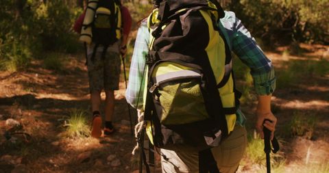 Couple Hiking Through Sunlit Forest Trail - Download Free Stock Images Pikwizard.com