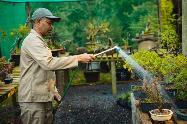 African american male gardener watering plants at garden centre. specialist working at bonsai plant nursery, independent horticulture business.