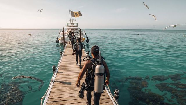 Scuba divers walking along wooden pier toward dive boat over turquoise reef with seagulls