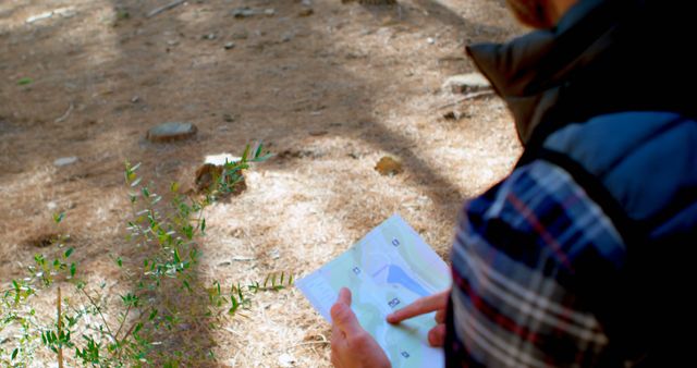 Hiker Navigating Trail in Forest Using Map for Guidance - Download Free Stock Images Pikwizard.com