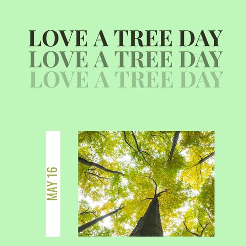 Celebrating Love a Tree Day with Lush Green Canopy - Download Free Stock Templates Pikwizard.com
