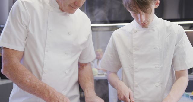 Image of an experienced chef mentoring a young apprentice in a professional kitchen. This visual can be utilized in articles or features about culinary training programs, cooking schools, mastering culinary skills, professional kitchen environments, or chef career journeys. The teamwork and learning element makes it relevant for educational purposes and culinary workshops promotion.