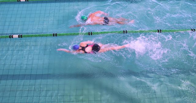 Competitive Swimmers Racing in Pool from Top View - Download Free Stock Images Pikwizard.com