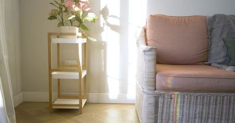 Cozy Sunlit Interior with Wicker Armchair and Potted Plant
