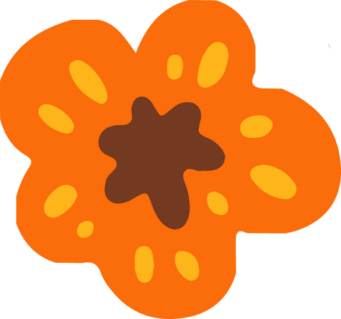 vibrant flower illustration with transparent background, minimalistic design - Download Free Stock Videos Pikwizard.com