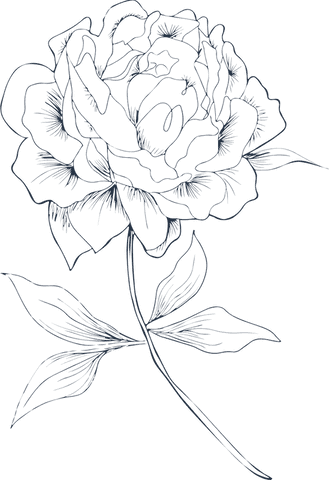 Transparent monochrome floral line art with elegant blooming flower