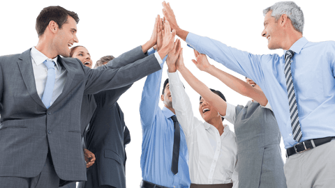 Happy Diverse Business Team High Fiving on Transparent Background - Download Free Stock Videos Pikwizard.com