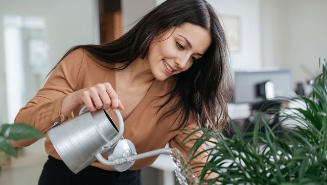 Young professional watering office plants at desk for workplace wellness and productivity
