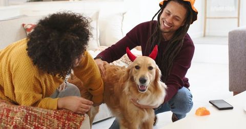 Couple Petting Golden Retriever Wearing Red Devil Horns in Cozy Sunlit Living Room