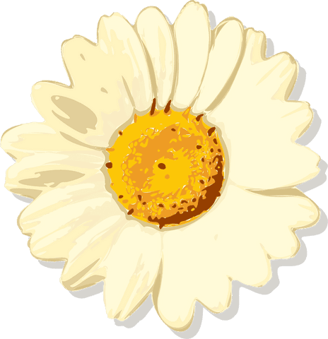 Transparent Daisy Illustration with Cream Petals and Textured Center
