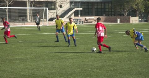 Young Soccer Players Competing on Sunlit Field