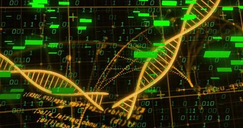 Futuristic Biotech DNA Amidst Digital Binary Interface