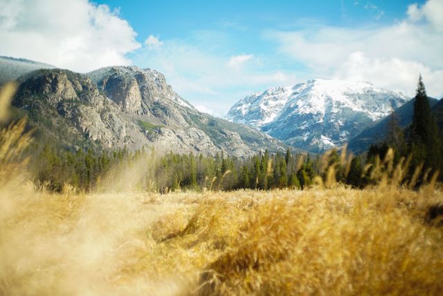 View of stunning mountains with snowy peaks behind a sunny and grassy meadow. Ideal for travel websites, nature-themed presentations, and outdoor adventure blogs.
