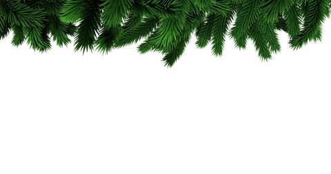 Festive Evergreen Background with Pine Branches