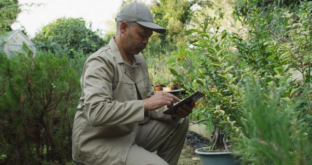 Male Gardener Using Digital Tablet in Botanical Garden - Download Free Stock Images Pikwizard.com