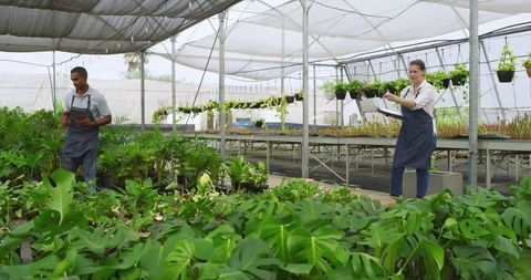Collaborative Botanists Conducting Inventory in Modern Greenhouse