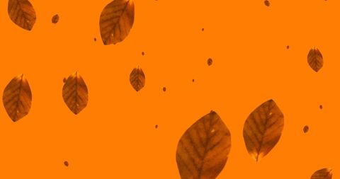 Autumn Leaves Falling on Vibrant Orange Background